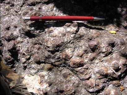 Muscovita-biotita xistos feldspáticos são de cor cinza escuro, frequentemente alterados para saprolitos avermelhados, ocorrem mais a nordeste da área, nas proximidades da localidade Uirapuru (escama