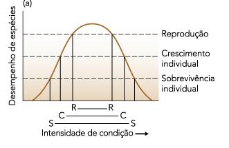 Gradiente de