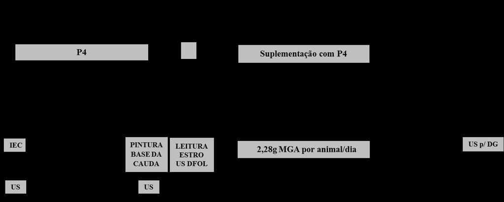 69 São Paulo, Brasil). O DFOL foi calculado através da média do maior diâmetro e do diâmetro perpendicular a ele e categorizado em < 11mm, 11 a 14mm ou > 14mm de acordo com Pugliesi et al. (2016).