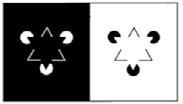 Agora, olhe para as figuras abaixo: FONTE: STERNBERG, 2000 O triângulo negro no centro do painel esquerdo e o triângulo branco no centro do painel direito parecem que saltam aos olhos, mas quando se