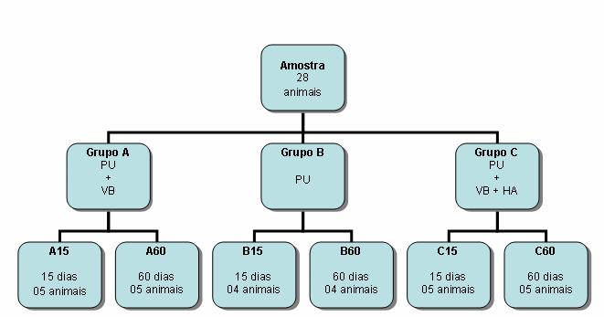 30 e Grupo C: C15 e C60 são compostos por 05 animais em cada. Já o subgrupo B: B15 e B60 são compostos por 4 animais cada. A divisão e subdivisão dos grupos experimentais estão detalhadas na figura 1.