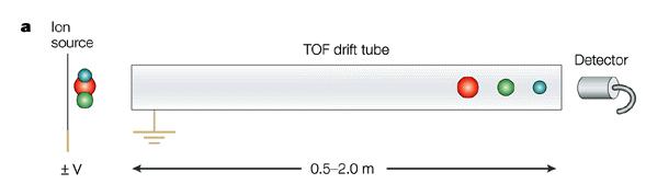 TOF (Linear) Íons são acelerados através da aplicação de uma diferença de potencial. Íons percorrem uma distância fixa.