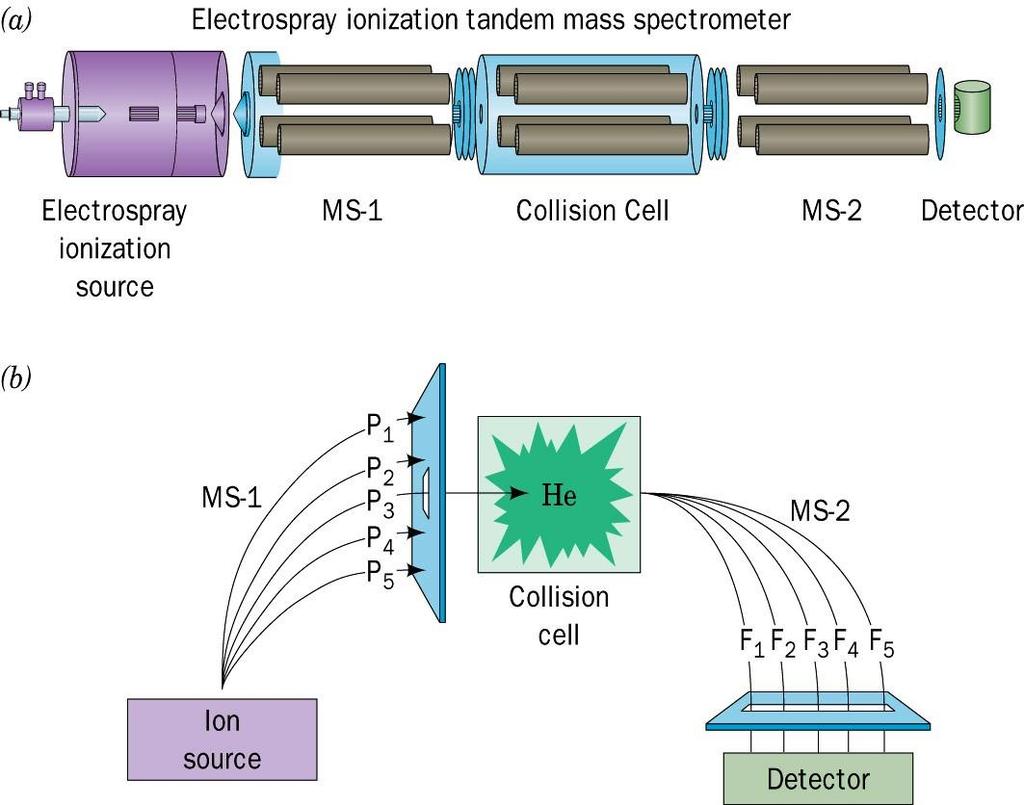 Triplo-Quadrupolo Q1 Q2 Q3 Voet Biochemistry 3e Page 174 2004 John Wiley & Sons, Inc.