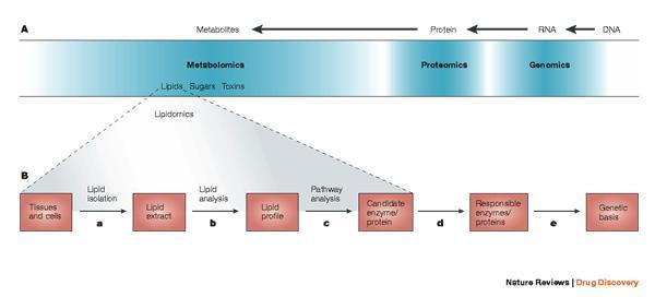 Identificação/quantificação de marcadores de peroxidação
