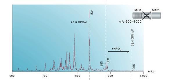 Fragmentos de m/z 885 Fosfatidil-Inositol 18:0-20:4 Resumo Espectrometria de