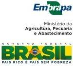 Comunicado Técnico Online, 294 Embrapa Trigo Caixa Postal, 451, CEP 99001-970 Passo Fundo, RS Fone: (54) 3316 5800 Fax: (54) 3316 5802 E-mail: sac@cnpt.embrapa.