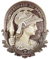 UNIVERSIDADE FEDERAL DO RIO DE JANEIRO ESCOLA