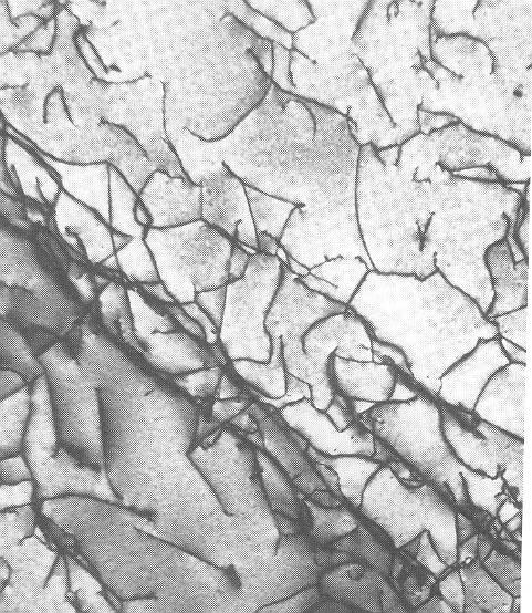 Defeitos de Linha 15 Microscopia eletrônica de transmissão de