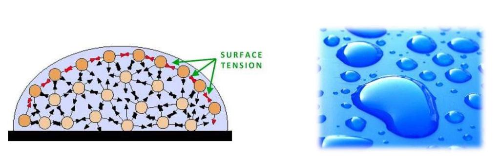 As bolhas crescem e se desprendem da superfície quando atingem um certo tamanho e tentam subir à superfície livre do líquido.