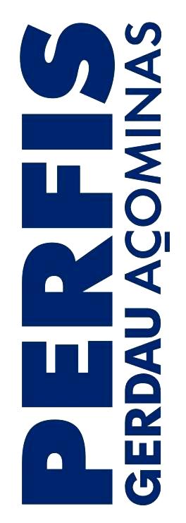 OBRIGADO Tel : (11) 3874-4865 (Gerência/SP - Wagner) (21) 9925-2987 (Vendas/Rio - Daniel) (21) 2414-6934 (Consultoria) Vendas: wgiannini@acomi