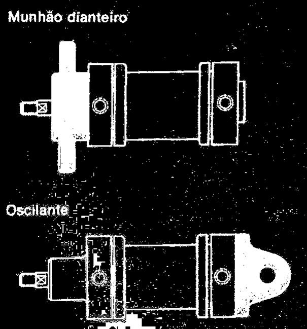 Tipo de fixação dos