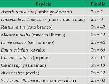 Conceitos básicos: NÚMERO DE CROMOSSOS O número de cromossomos entre as espécies é muito variável, podem ser encontrados desde 2 como na lombriga