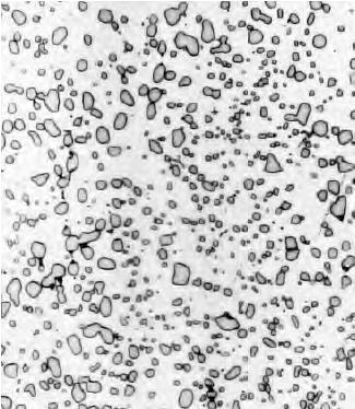 CEMENTITA GLOBULIZADA DIAGRAMAS TTT Aquecimento de uma liga de aço com microestrutura perlítica ou bainítica a temperatura abaixo da temperatura eutetóide, por longo período (700 C, 18 24h) cementita