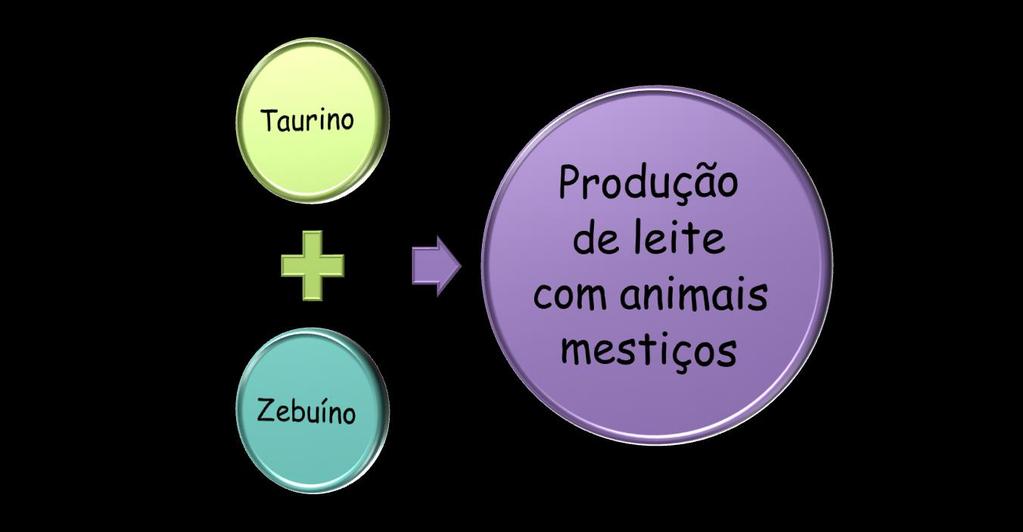 Alternativa para minimizar impactos e conseguir uma produção eficiente é o