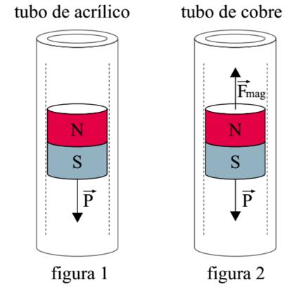 Na figura 2, o mesmo ímã desce em movimento uniforme por dentro de um tubo cilíndrico, vertical, de cobre, sujeito à ação da força peso e da força magnética, vertical e para cima, que