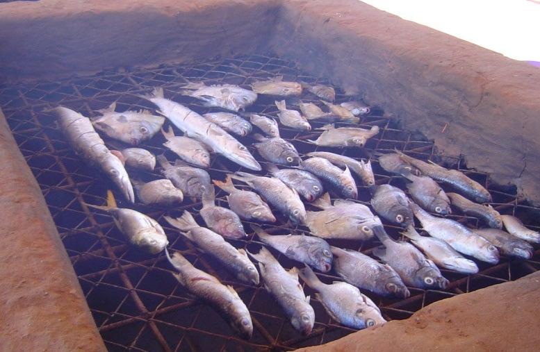 A assessoria técnica do autor cingiu-se à realização de ações de demonstração e formação, de modo a melhorar a conservação do pescado, por secagem solar e por fumagem (fig.