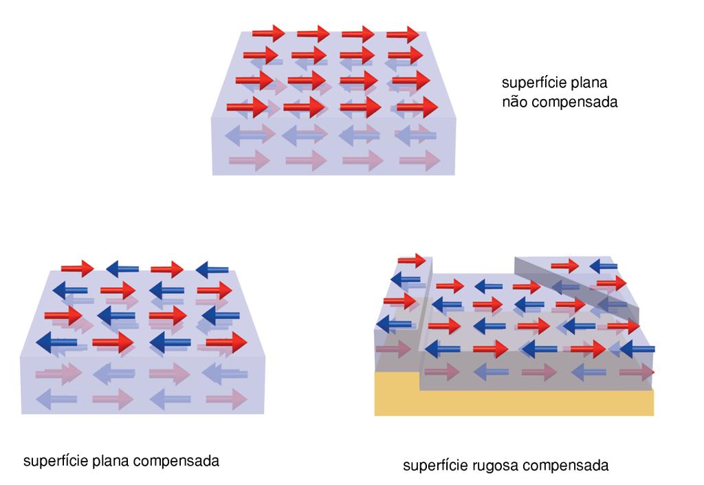 5.2 Caracterização Magnética, Magnetorresistiva e Simulações 68 Na figura 29, são mostradas três configurações da superfície de um antiferromagneto.