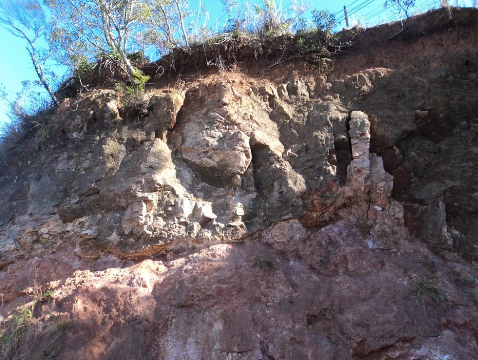 31 Nos derrames ácidos que ocorrem em altitude acima de 500 m as rochas encontradas foram riolitos de coloração marrom a castanha e cinza, com vesículas e amígdalas (em alguns pontos orientadas