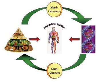 Nutrigenômica e Nutrigenética: os dois lados da moeda Nutrição personalizada: Efeitos da dieta no