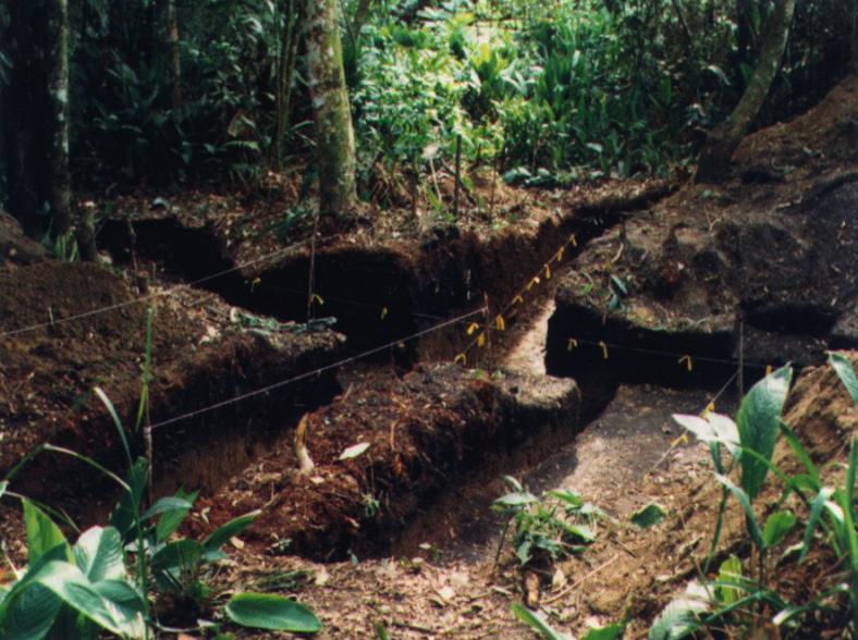 Arqueologia Jê no Estado de São Paulo R. Museu Arq. Etn.