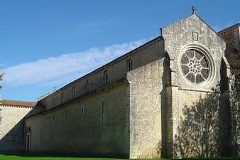 À tarde é possível visitar o Museu Rural e do Vinho de Cartaxo, a Igreja Principal ou a Praça 15 de Dezembro no centro da