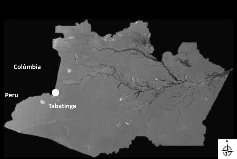 Figura 1. Mapa Satelital com localização do município de Tabatinga, Amazonas - BR, aréa de fronteira com a Colômbia e Peru. Fonte: Miranda & Coutinho, 2004.