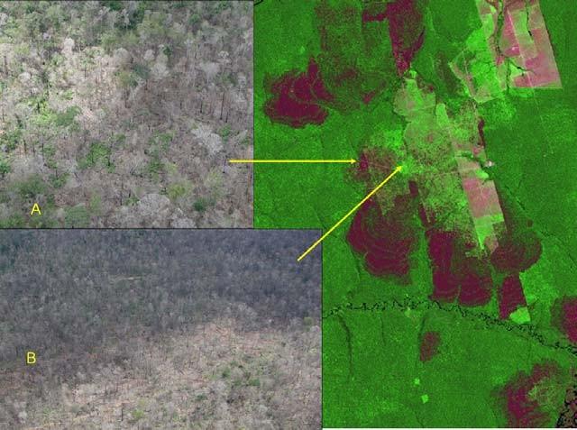 Figura 7.2 Padrões de degradação florestal causado por exploração madeireira e incêndios recorrentes.