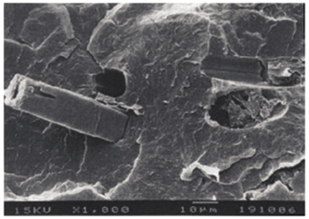 30 Polímeros reforçados por fibras vegetais uma revisão sobre esses compósitos Estudos morfológicos foram realizados por microscopia eletrônica de varredura (MEV), onde se pode observar (Figura 7)