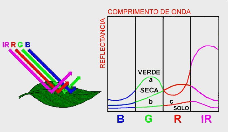 Radiação eletromagnética EI = ER + EA + ET δr + δa + δt = 1 δi δi δi EI - Energia Irradiada ER - Energia Refletida EA -