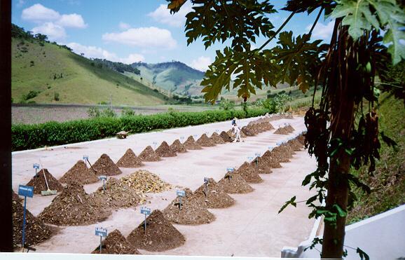 COMPOSTAGEM DE RESÍDUOS ORGÂNICOS Elaborado por: Claúdia Júlio Ribeiro