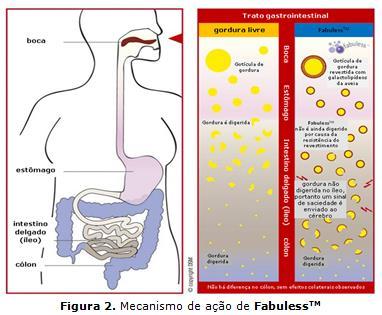 Os processos fisiológicos envolvidos na ingestão alimentar e no controle do apetite humano são complexos e constituem uma área de grande interesse para cientistas e pesquisadores.