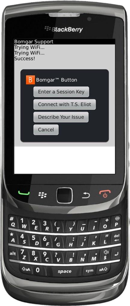 Quando um Bomgar Button tentar efectuar a instalação, o cliente recebe uma mensagem a indicar se deve Aceitar ou Recusar a implementação.