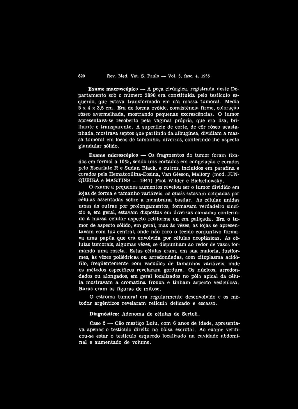 Media 5 x 4 x 3,5 cm. Era de forma ovóide, consistência firme, coloração róseo avermelhada, mostrando pequenas excrescências.