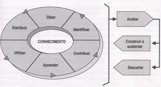 Ciclo da