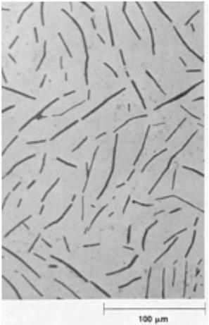 Aula 12: Solidificação de Eutéticos Graphite in spheroidal cast iron, which results from the divorced growth