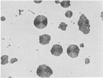 Transverse section etched with nital.