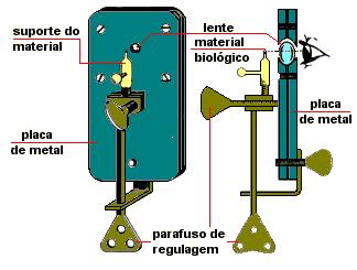 O Microscópio