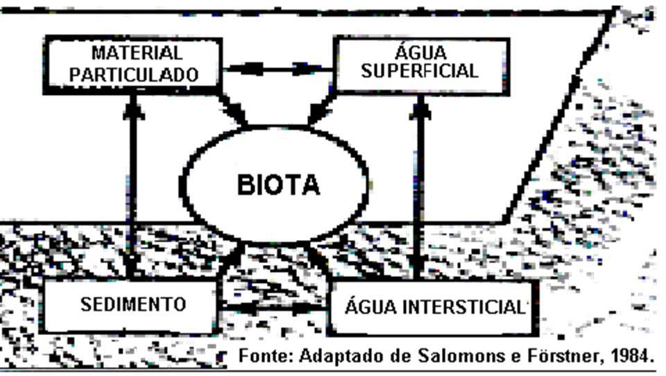 Química Ambiental INTRODUÇÃO Na aula anterior foi definido o solo e apresentada a sua composição, classificação e função.