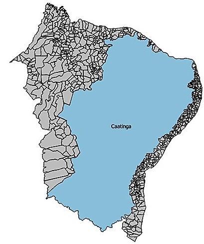 O Bioma Caatinga Bioma exclusivamente encontrado no NE do Brasil; Tipo tropical semiárido; Solos Precipitação anual entre 250 e 1200mm, irregulares e concentrada em 2 a 3 meses do ano;