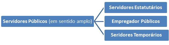 b) Servidores Estatais (ou Agentes Administrativos ou Servidores Públicos em sentido amplo) São as pessoas que prestam serviço público para a Administração, com natureza profissional e remunerada.