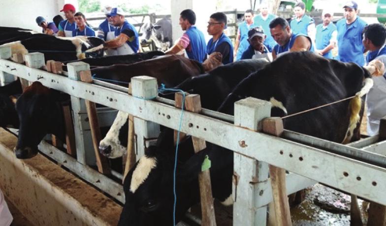 2 Maceió, sexta-feira, 0 TEORIA E PRÁTICA Expo Bacia Leiteira oferece curso de inseminação artificial de bovinos Evento será realizado em Batalha, no Parque Mair Amaral, para os pequenos produtores