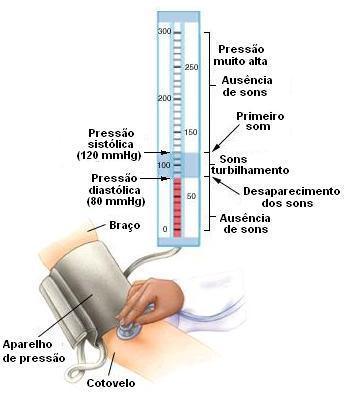 REGULAÇÃO RÁPIDA DA PRESSÃO ARTERIAL Controle Neural.