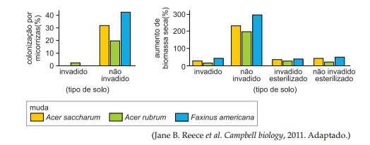 saccharum, Acer rubrum e Faxinus americana em quatro tipos de solos diferentes, garantindo que as demais condições ambientais fossem as mesmas.