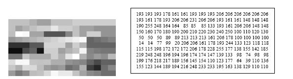 A transformação da imagem elétrica numa imagem digital envolve um processo de amostragem e um de quantização.