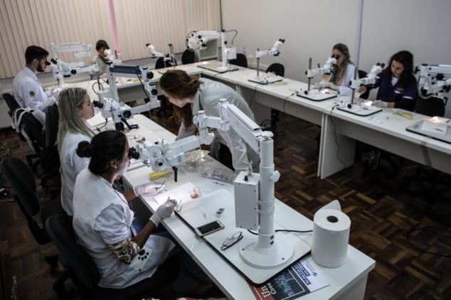 Todos os cursos tiveram práticas em parceria com o Universidade Federal do Paraná, campus de Ciências Agrárias.