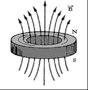 Figura 3: Rotor com bobinas acopladas.