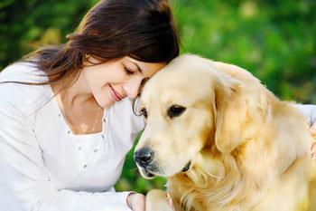 Terapia Assistida por Animais Proposta de trabalho é mais efetiva quando o profissional utiliza o seu próprio animal, por considerar que o