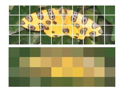 Resolução espacial Relação entre o enquadramento da câmera e o número mínimo de linhas (pixel) no registro da imagem.