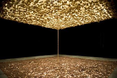 Cildo Meireles, Ernesto Neto, Hélio Oiticica/Neville D Almeida,