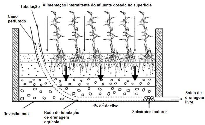 20 3.3.3 Fluxo Vertical Outro tipo de fluxo é o vertical (Figura 3), pode ter como substrato areia e na maioria dos casos é utilizado com uma vazão de efluente intermitente (PLATZER et al.